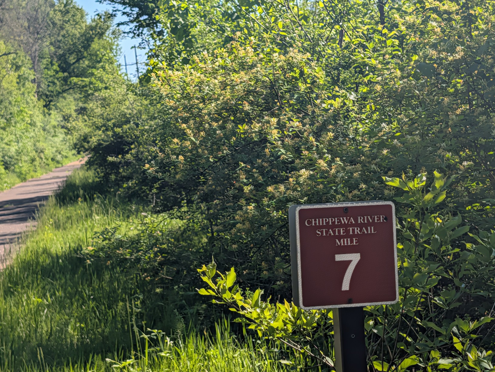 Mile Marker 7